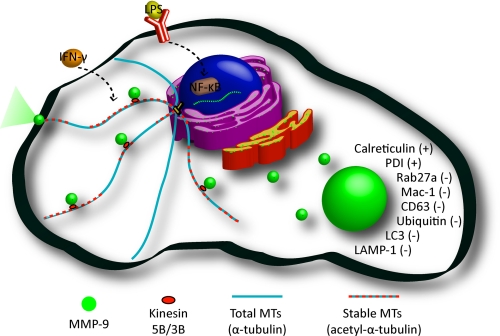 FIGURE 12.