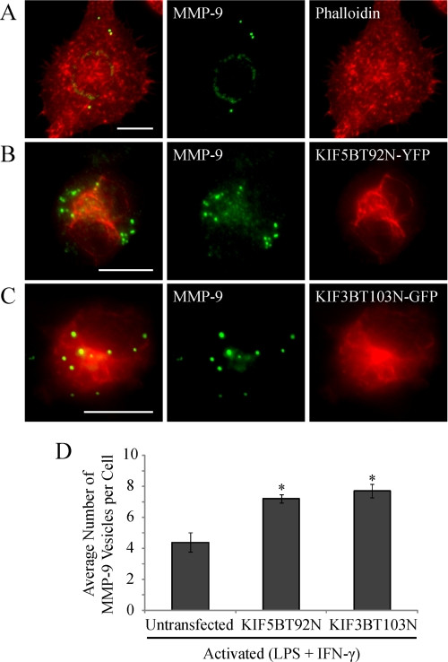 FIGURE 11.