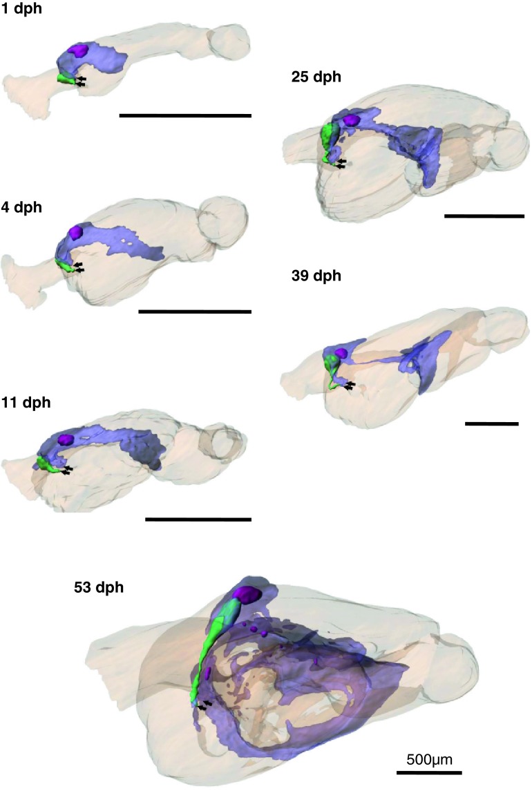 Fig. 7