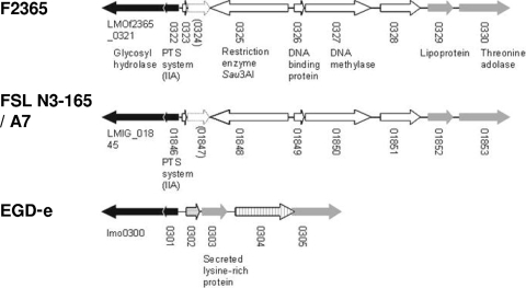 FIG. 2.