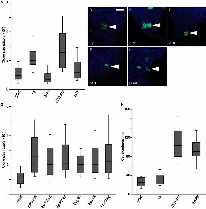 Figure 2