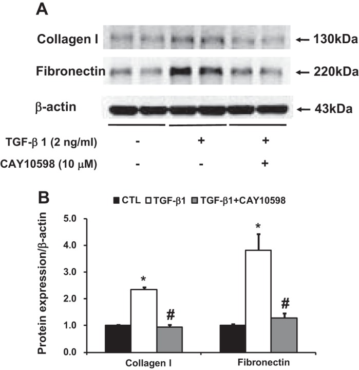 Fig. 10.