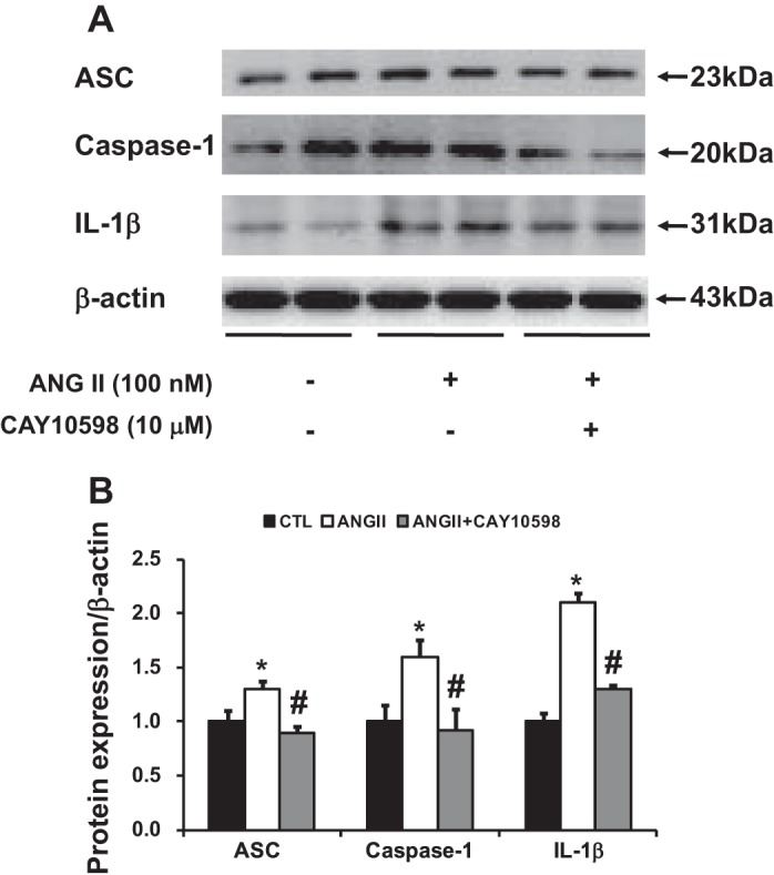 Fig. 11.