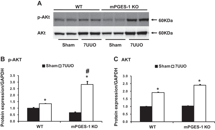 Fig. 9.