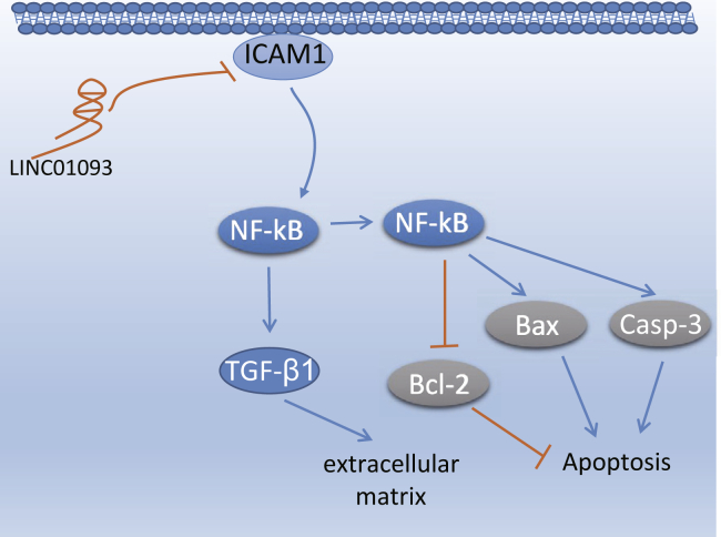 Figure 7