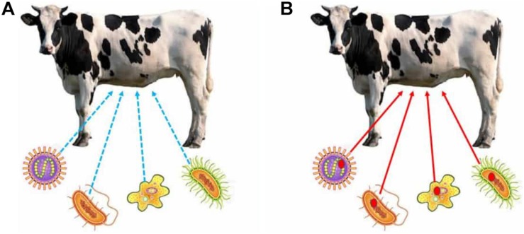 FIGURE 1