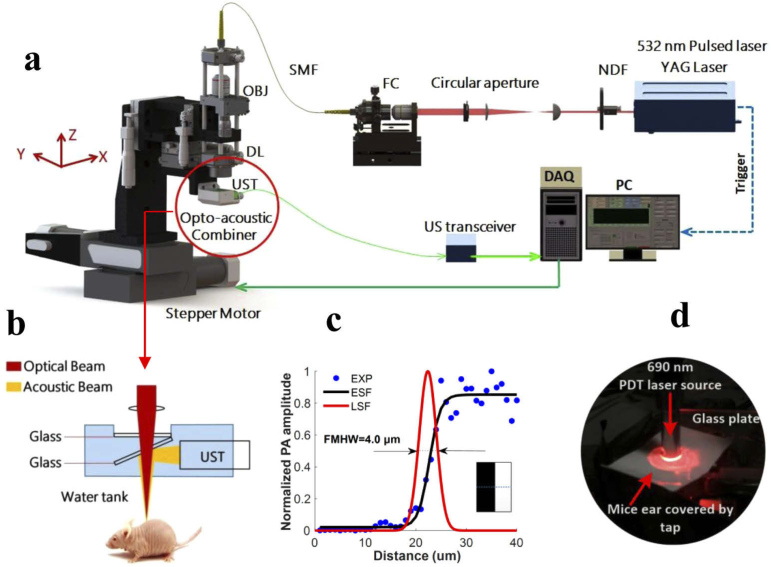 Fig. 3.