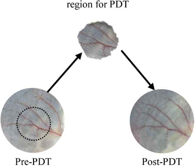 Fig. 9.