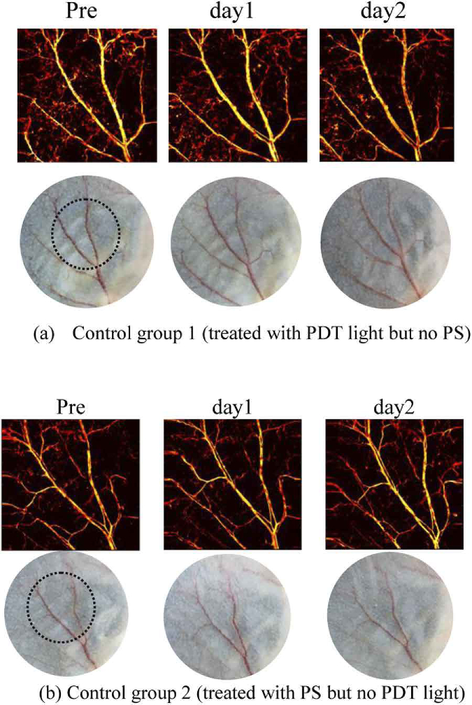 Fig. 10.