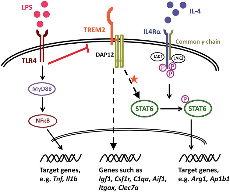 Figure 10