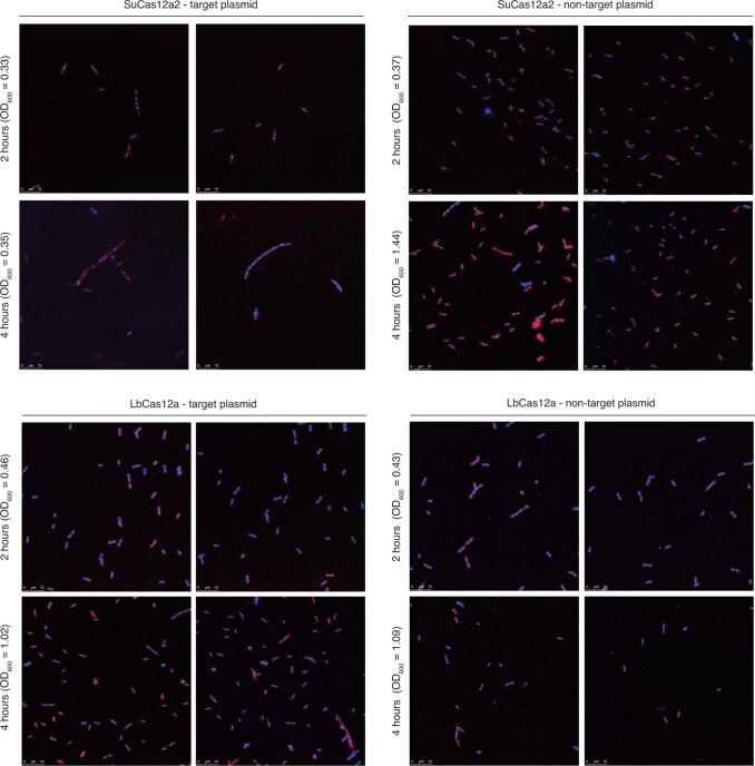 Extended Data Fig. 9