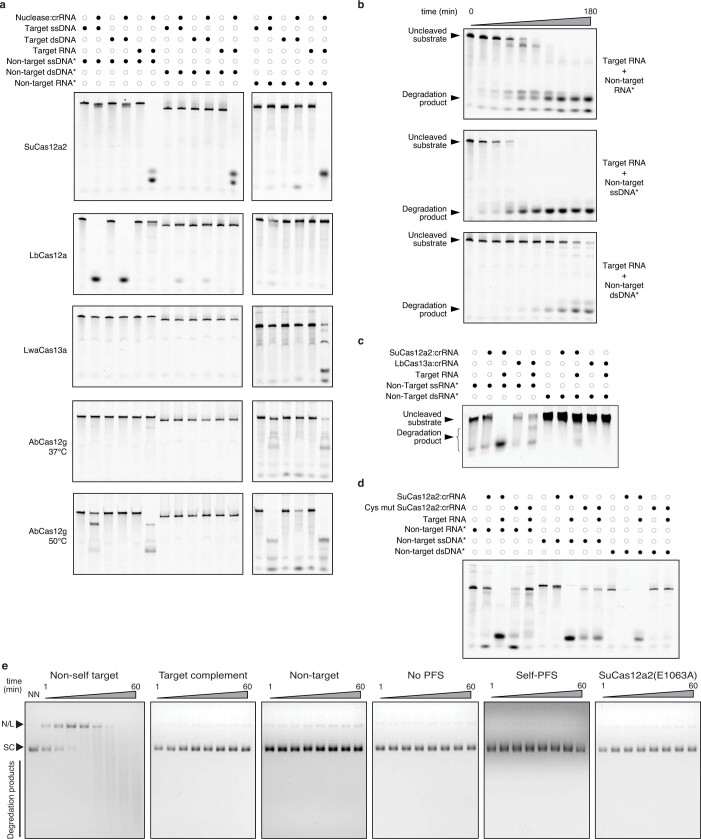 Extended Data Fig. 4