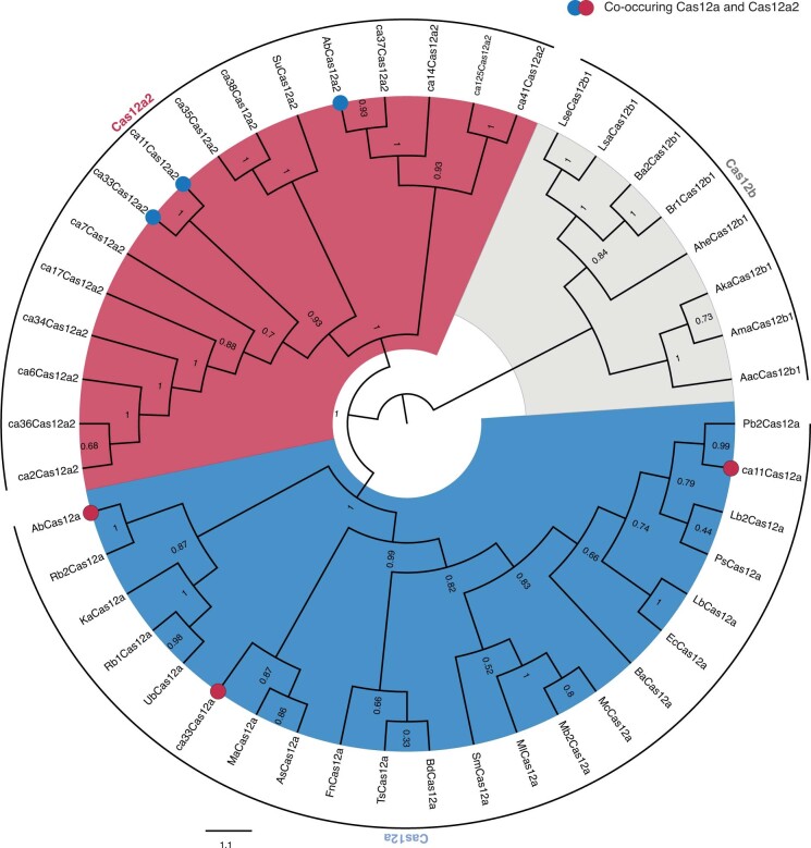 Extended Data Fig. 1