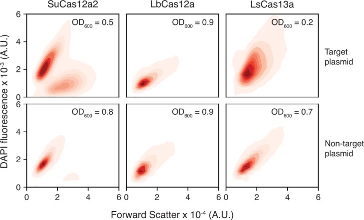 Extended Data Fig. 8