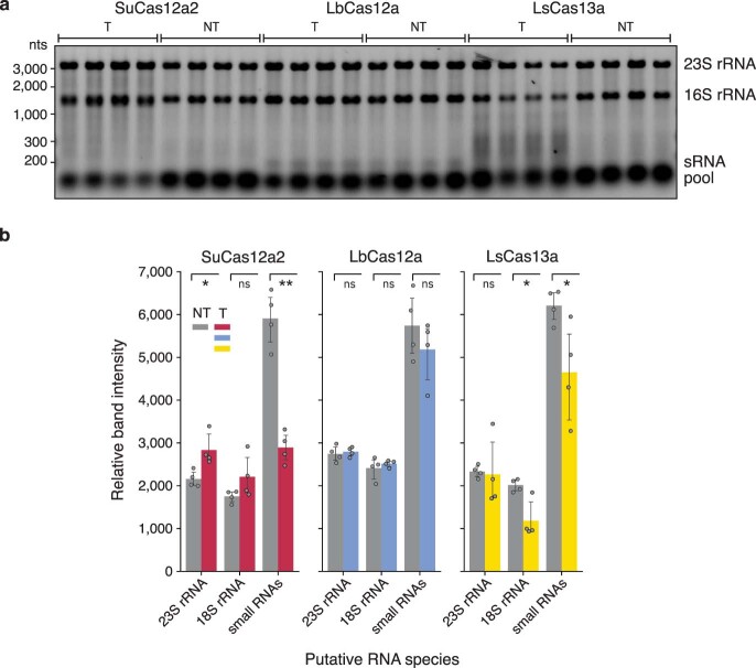 Extended Data Fig. 7