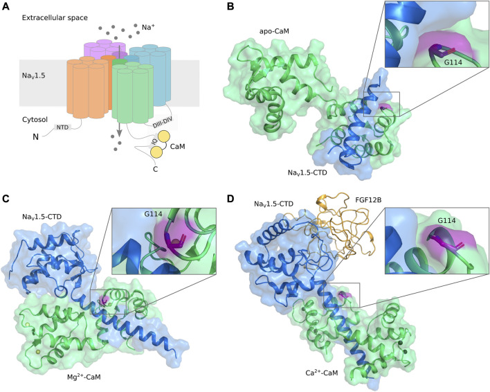 FIGURE 2