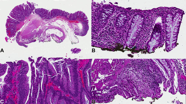 Figure 7