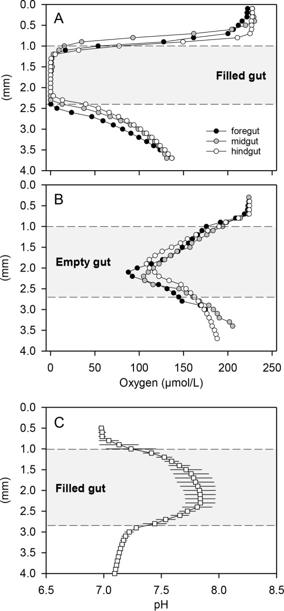 FIG 2