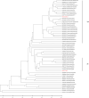 Supplementary Fig. 1