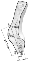 Fig. 2