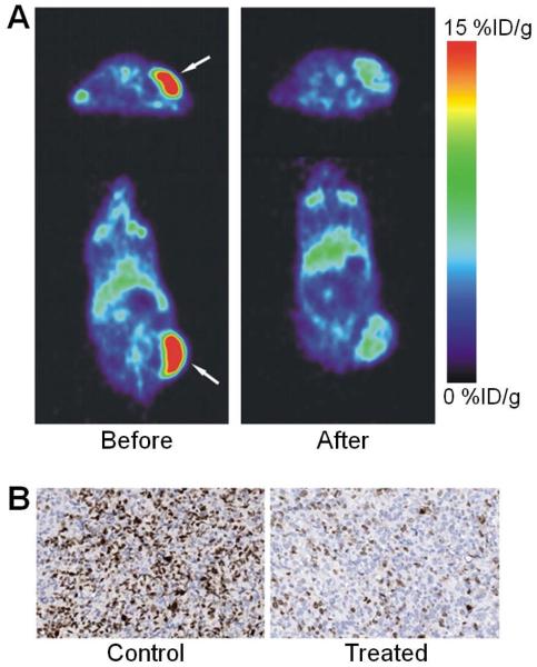 Fig. (4)