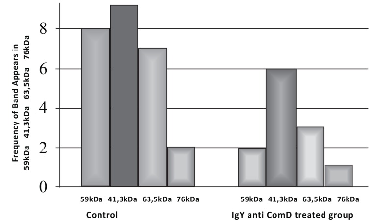 Fig. (3)