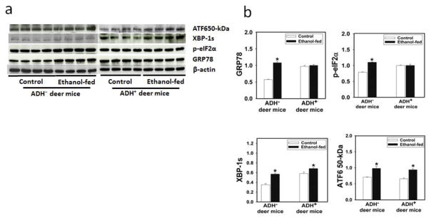 Fig. 11