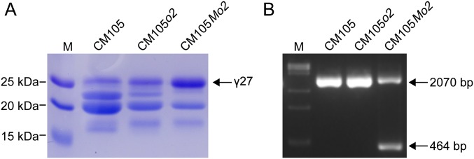 Fig. S6.