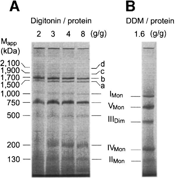 graphic file with name cdd189f3.jpg