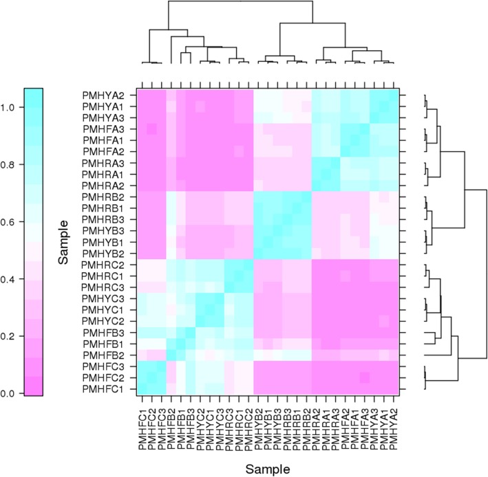 Fig. 2