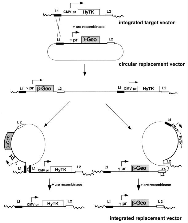 FIG. 3