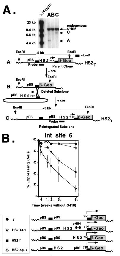 FIG. 7