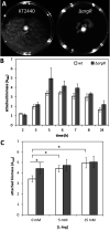 FIG 6