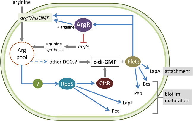 FIG 9