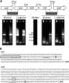 FIG 2