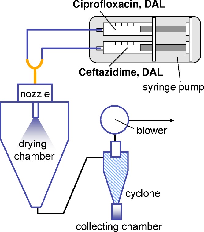 Fig. 1