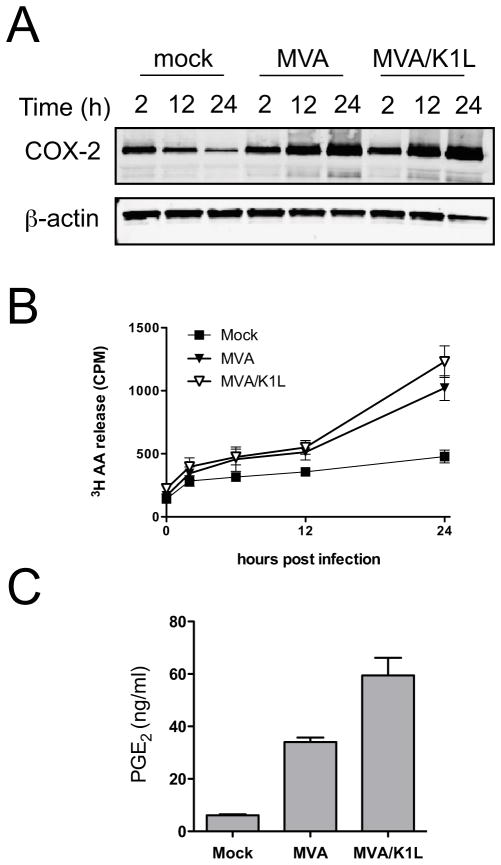 FIG. 7