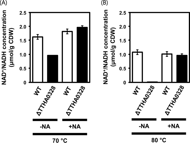 FIG 6