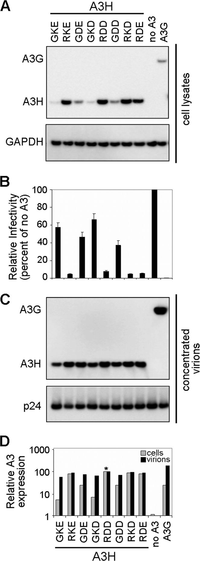 FIG. 2.