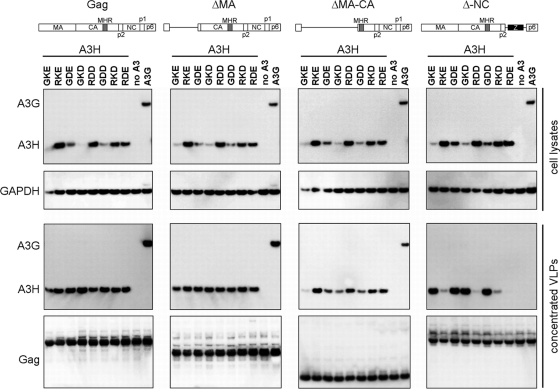 FIG. 6.