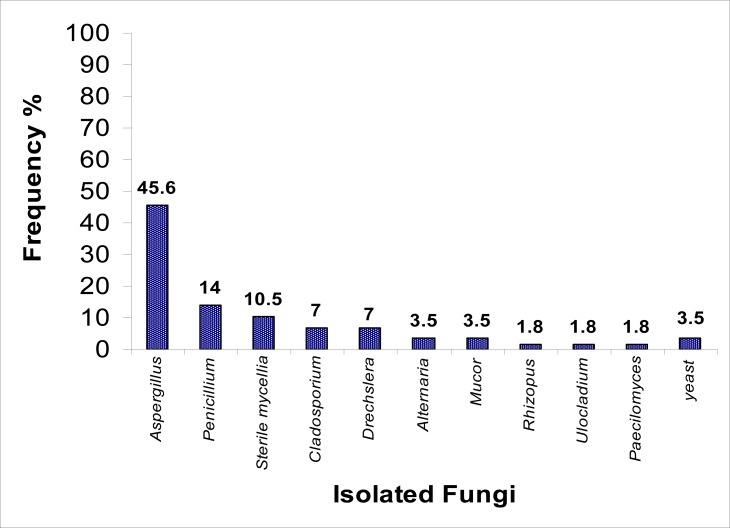 Fig. 2: