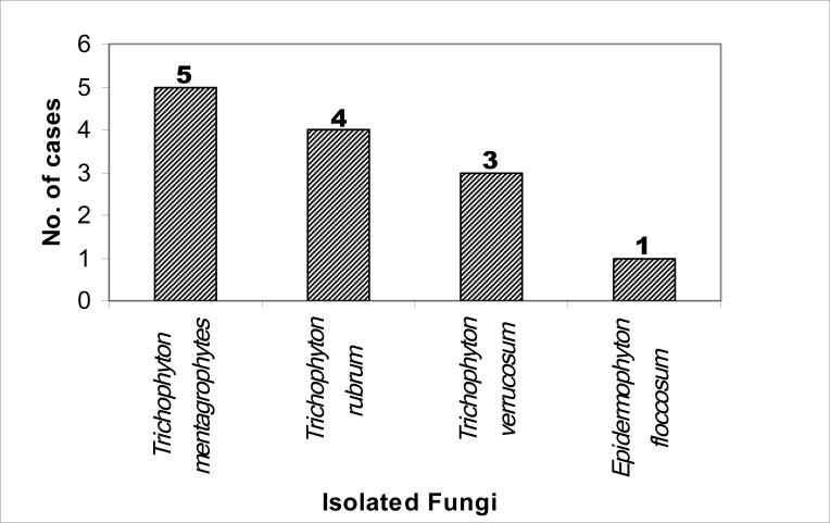 Fig. 1: