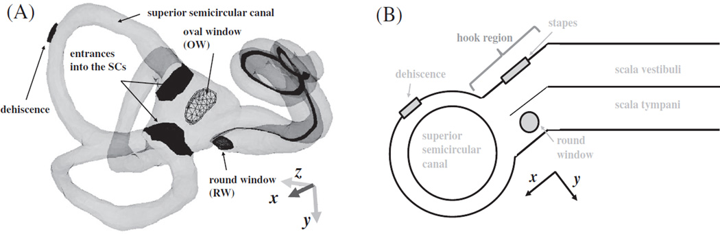 Fig. 11