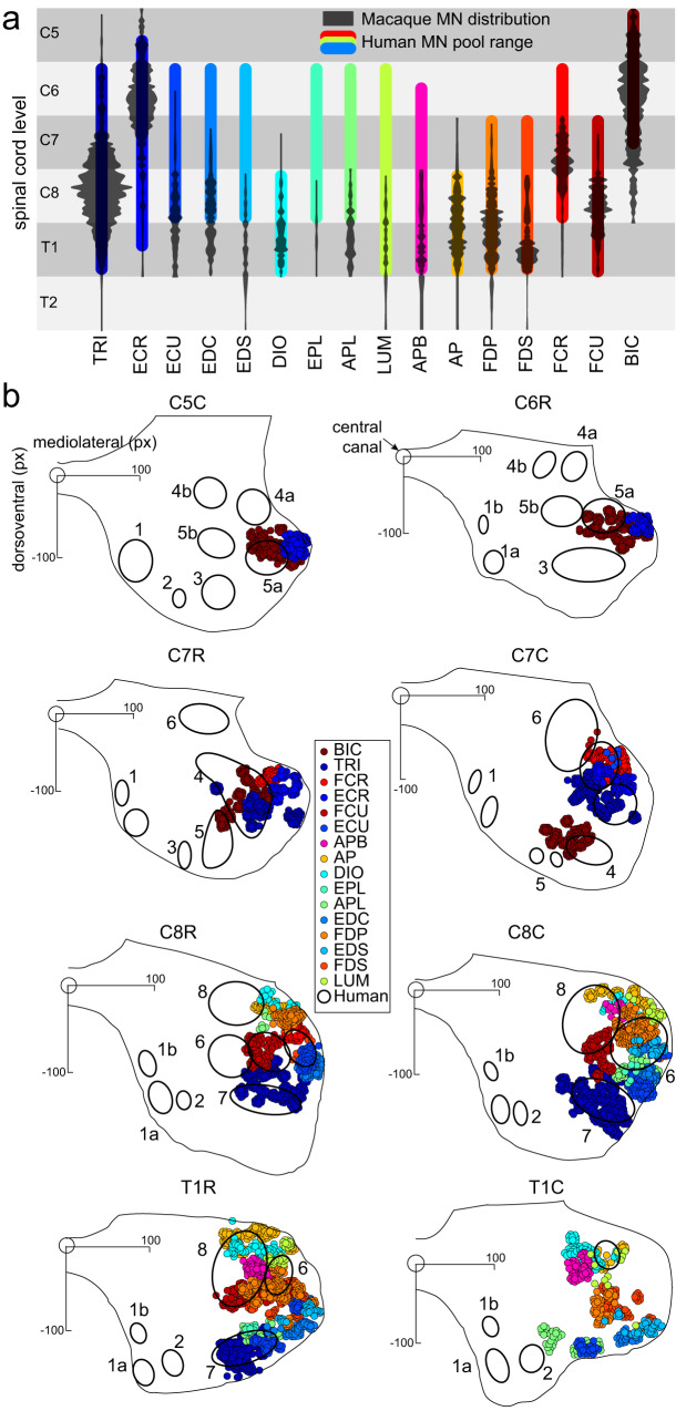Fig. 3