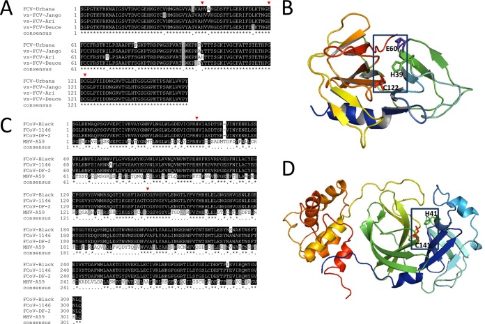 FIG 3