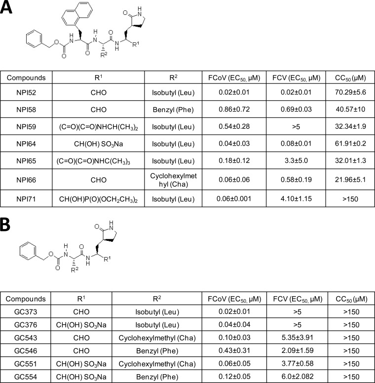 FIG 1