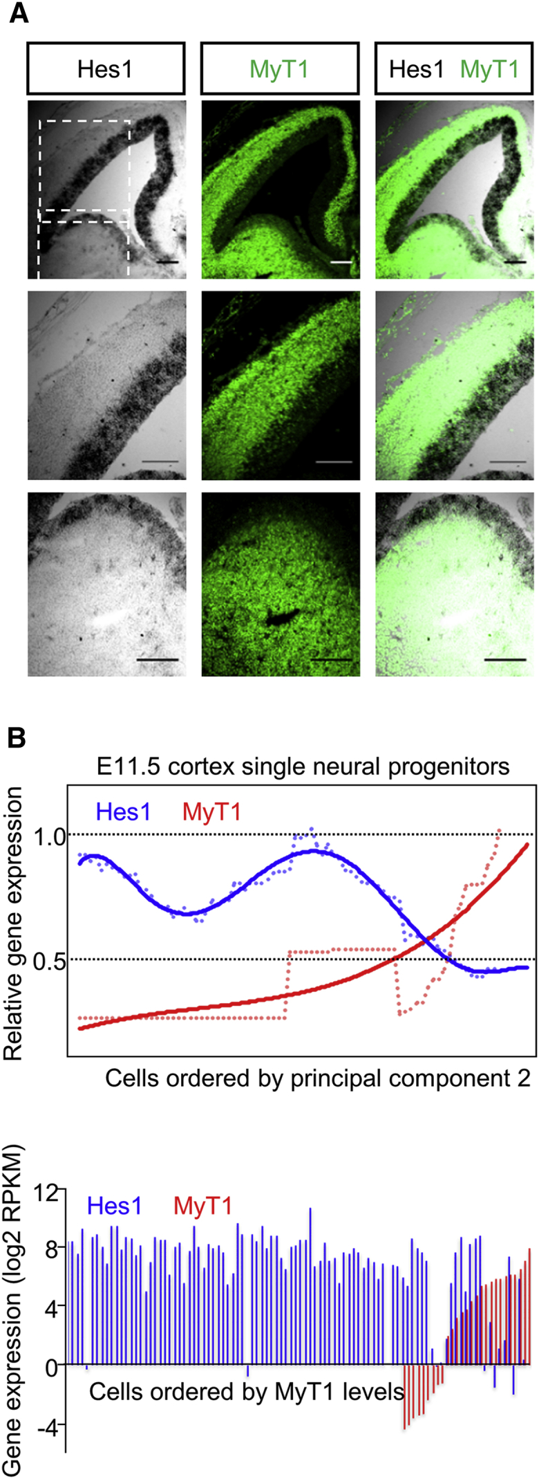 Figure 6