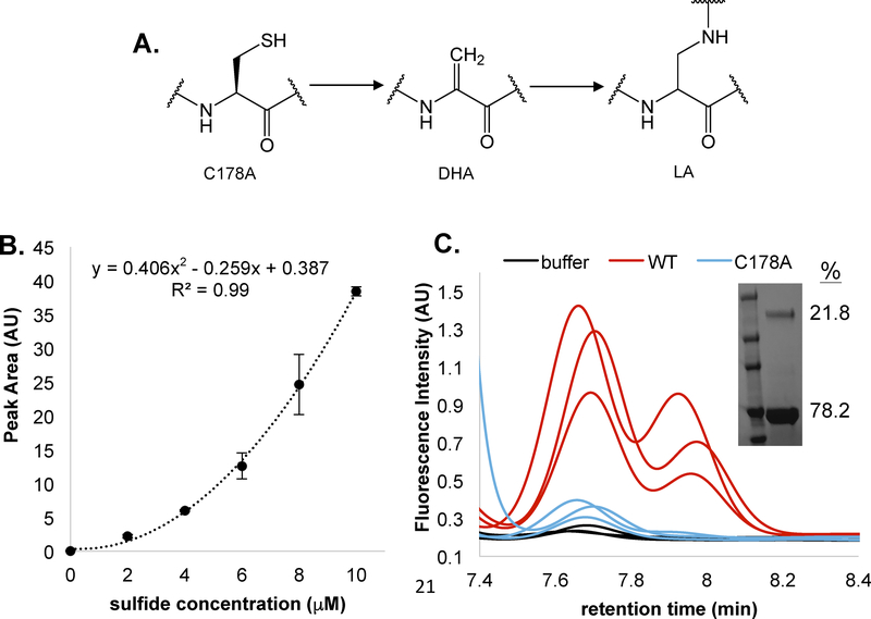 Figure 6: