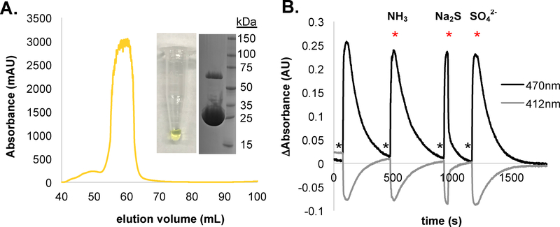 Figure 2: