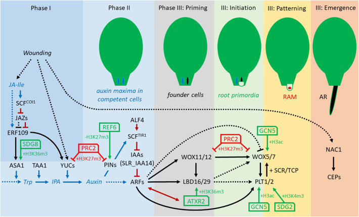 FIGURE 1